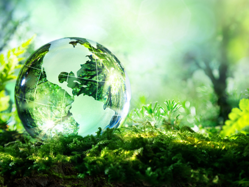 Фонд «Экология» РСХБ подводит итоги четырех лет работы: на реализацию эко-проектов направлено до 129 млн рублей